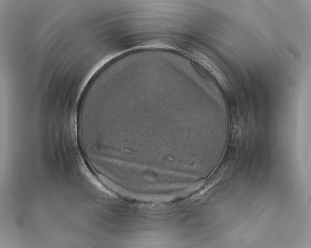 X0000110891092200907021512