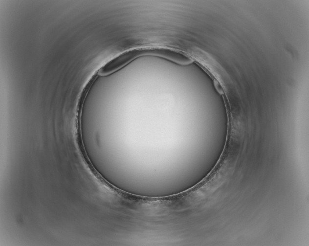 X0000110891093200907021512