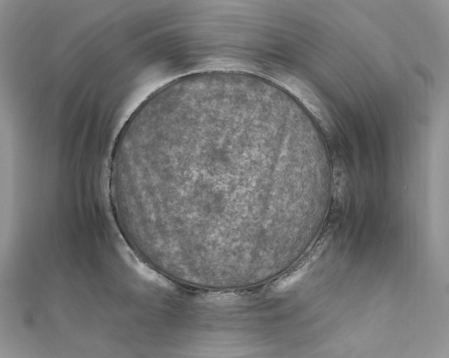 X0000110891094200907021512
