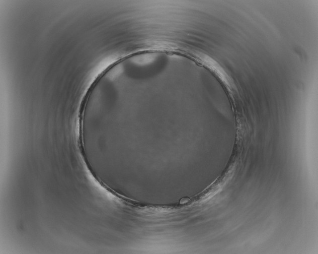 X0000110891095200907021512