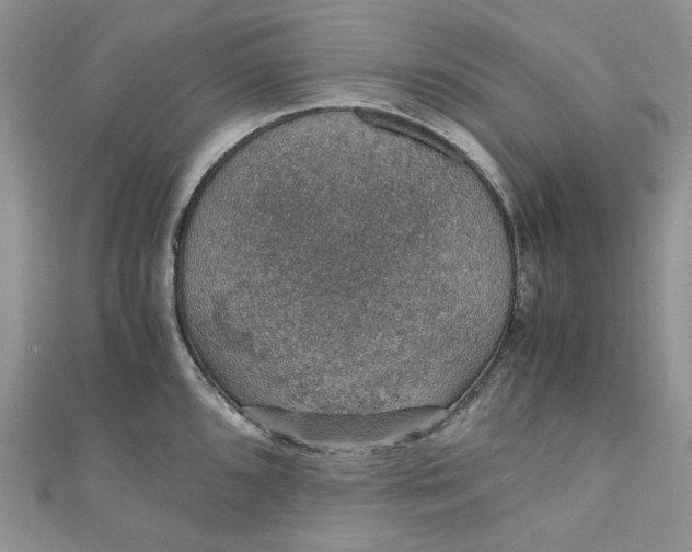X0000110891096200907021512