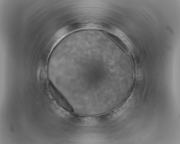 X0000110891097200907021512