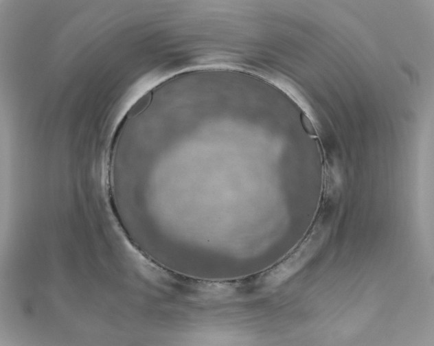 X0000110891101200907021512