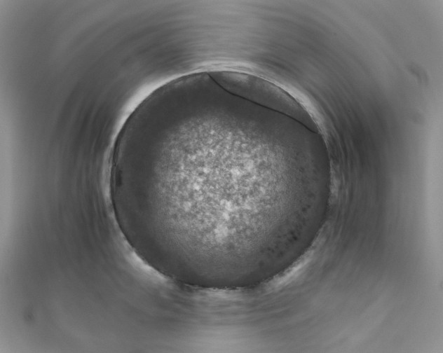 X0000110891102200907021512