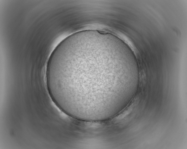 X0000110891103200907021512