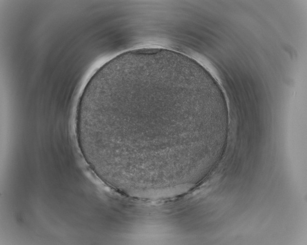 X0000110891104200907021512