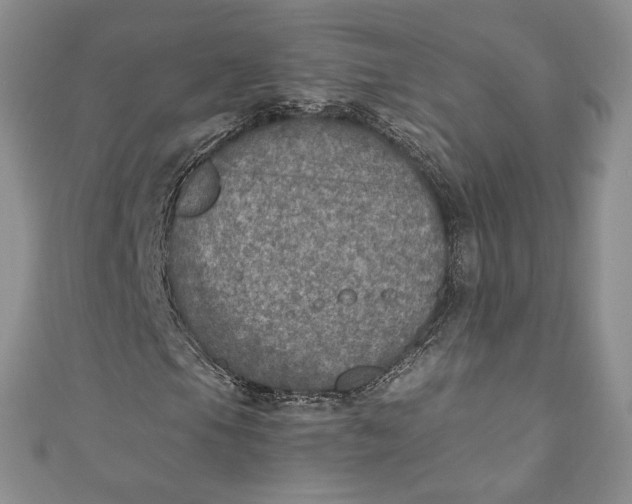 X0000110891105200907021511