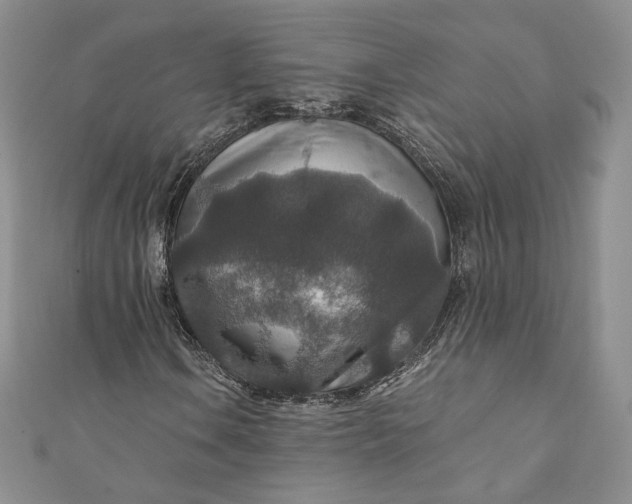 X0000110891106200907021511