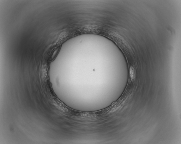 X0000110891107200907021511
