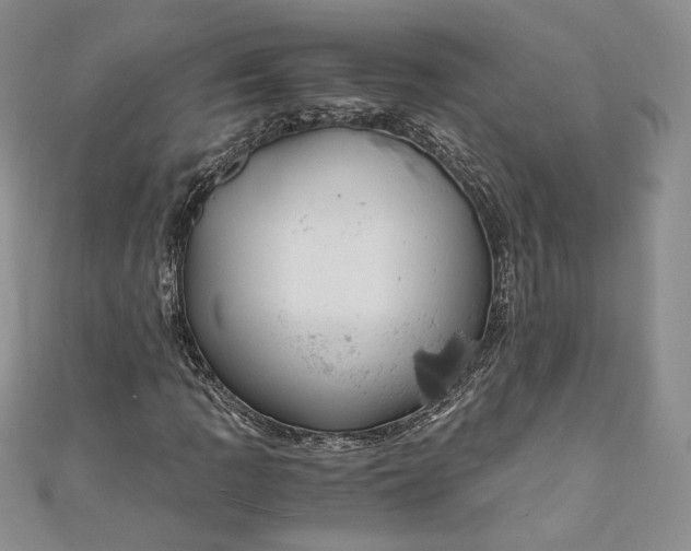 X0000110891109200907021511