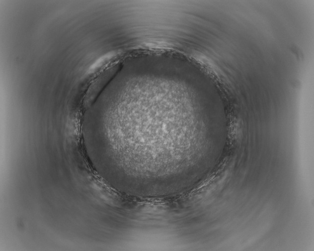 X0000110891110200907021512