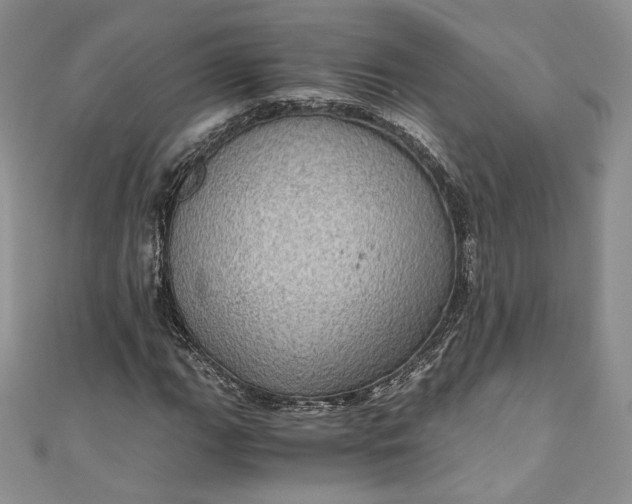 X0000110891111200907021512