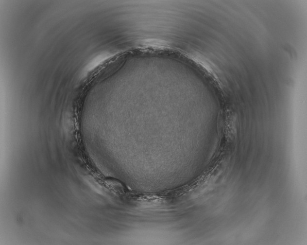 X0000110891112200907021512