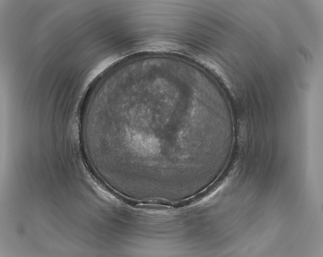 X0000110891114200907021512