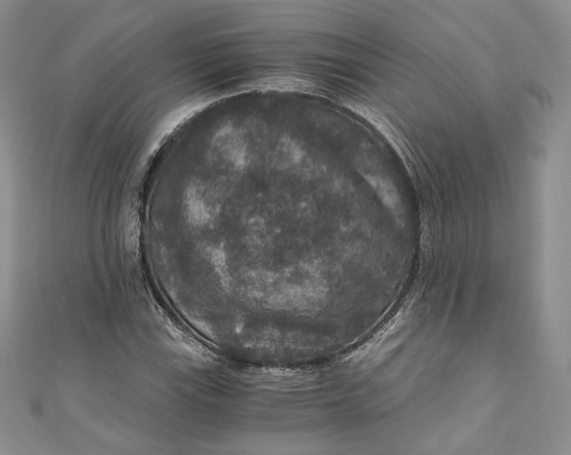 X0000110891115200907021512