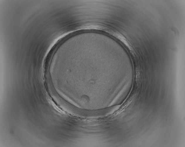 X0000110891116200907021512