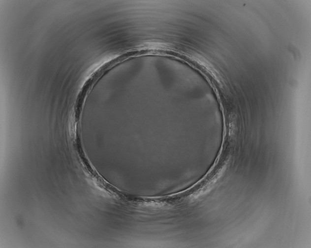 X0000110891117200907021512