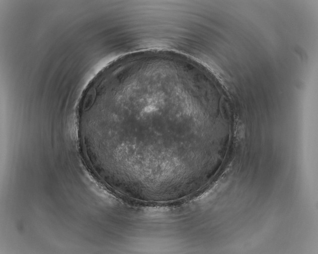 X0000110891118200907021512
