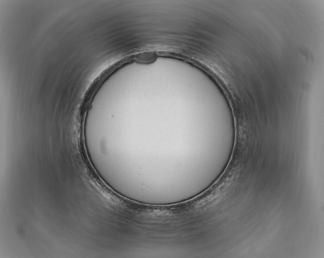 X0000110891119200907021512