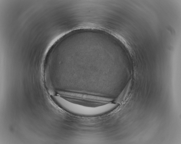 X0000110891120200907021512