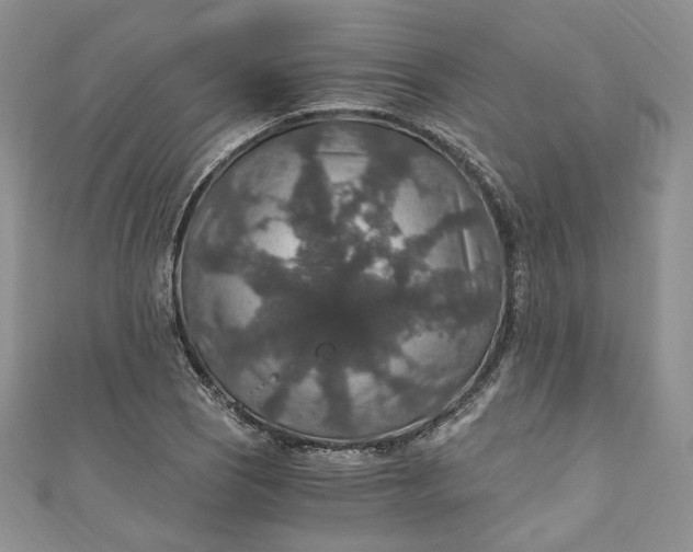 X0000110891121200907021512