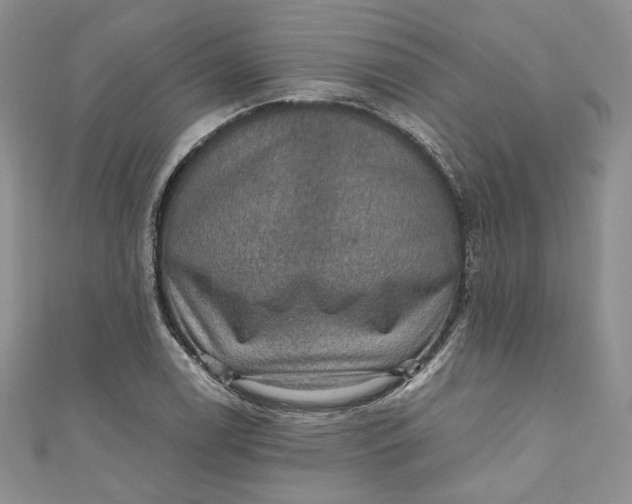 X0000110891122200907021512