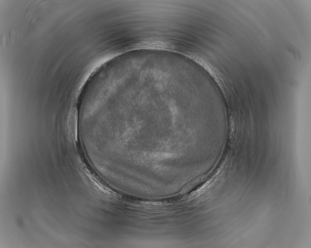 X0000110891123200907021512