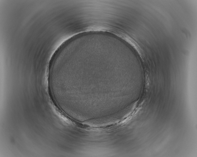 X0000110891124200907021512