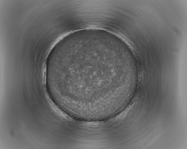 X0000110891126200907021512