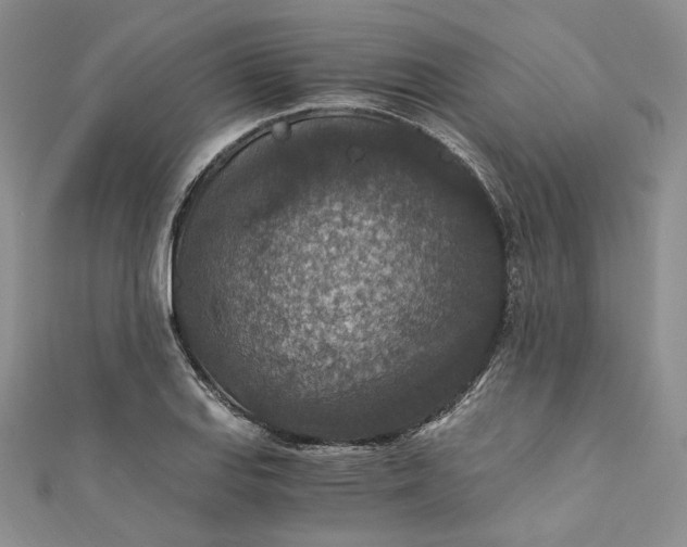 X0000110891127200907021512