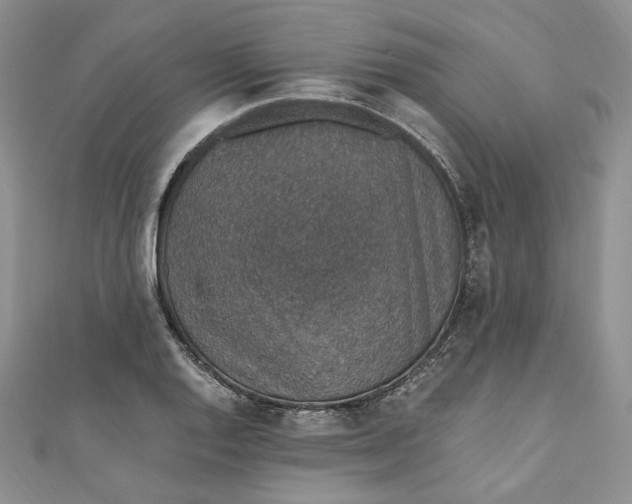 X0000110891128200907021512