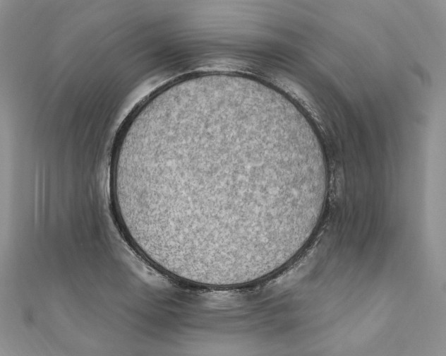 X0000110891130200907021512