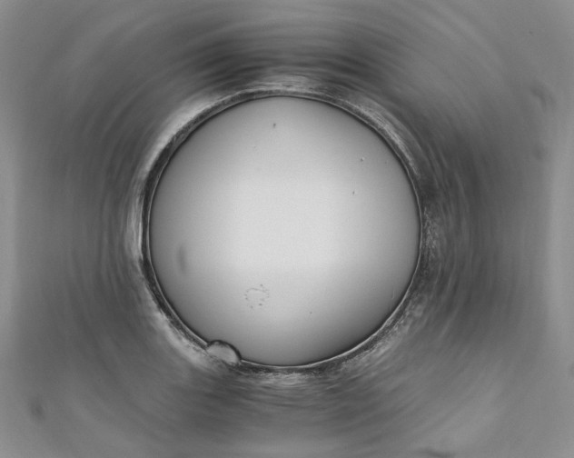 X0000110891131200907021512