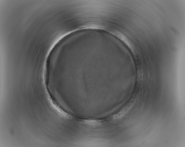 X0000110891132200907021512