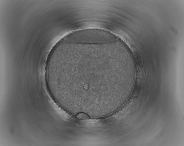 X0000110891134200907021512