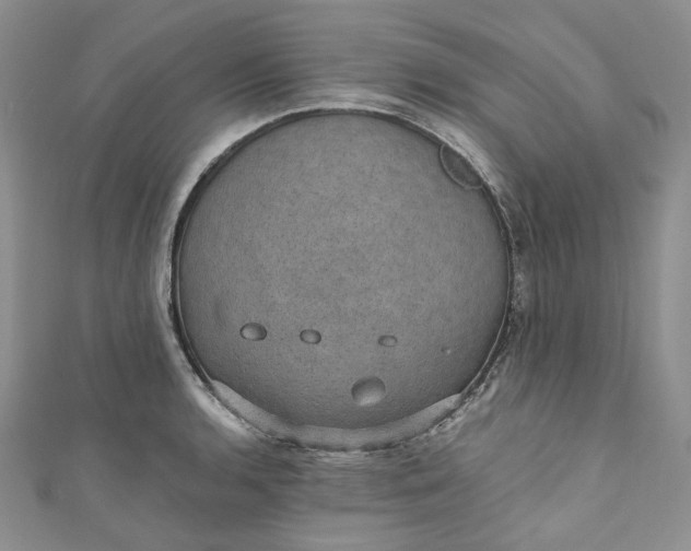 X0000110891136200907021512