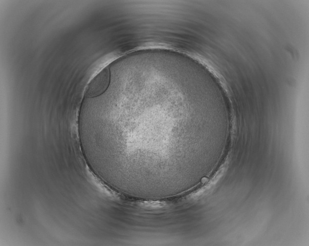 X0000110891137200907021512
