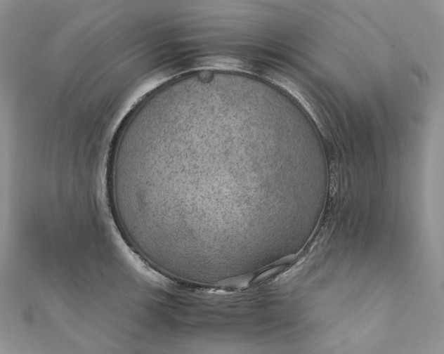 X0000110891139200907021512