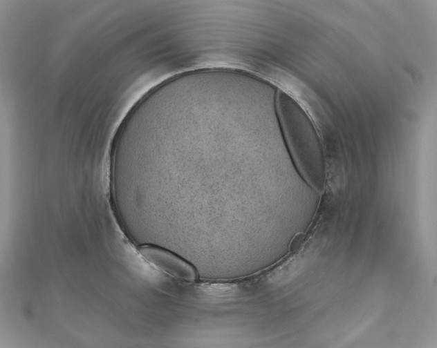 X0000110891140200907021512