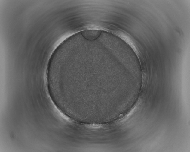X0000110891141200907021512