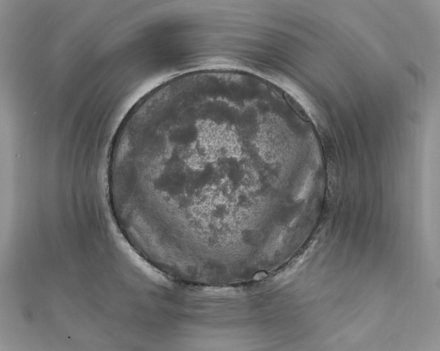 X0000110891142200907021512