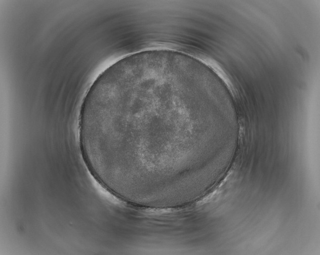 X0000110891143200907021512