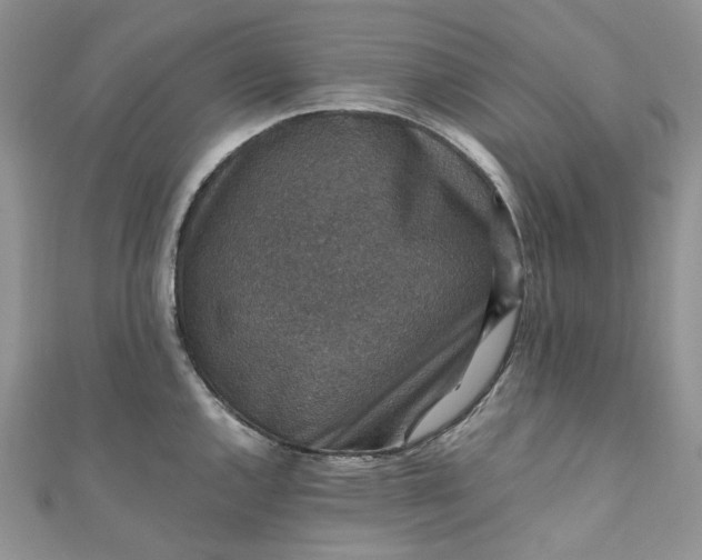 X0000110891144200907021512