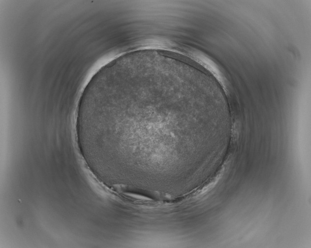 X0000110891146200907021512