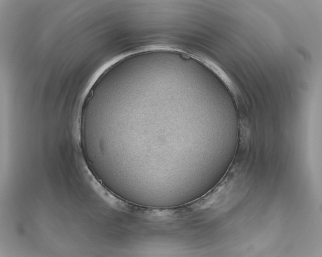 X0000110891148200907021512