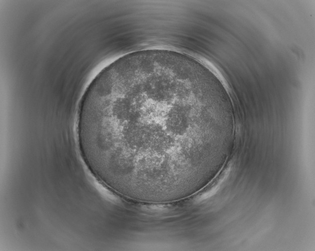 X0000110891149200907021512