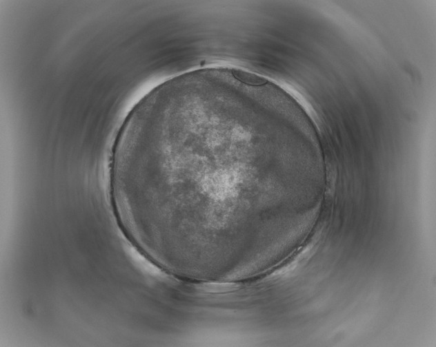 X0000110891151200907021512