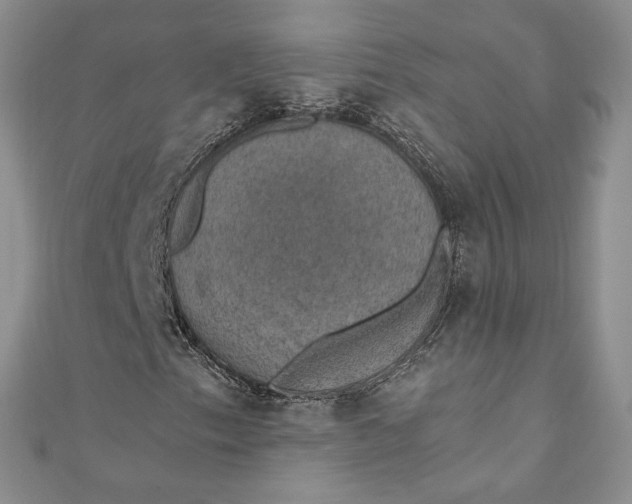 X0000110891153200907021511