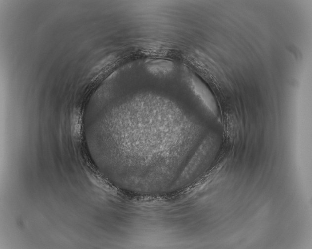 X0000110891154200907021511