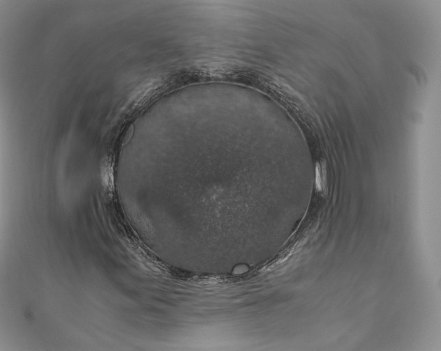 X0000110891155200907021511